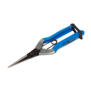 Chikamasa Scissors