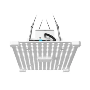 LUMii Black Blade 100W LED