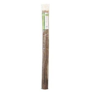 Garden Canes