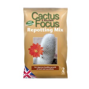 Cactus and Succulent Focus Repotting Mix