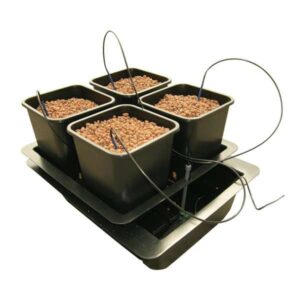 Origin (Wilma) Big 4 Delivery System
