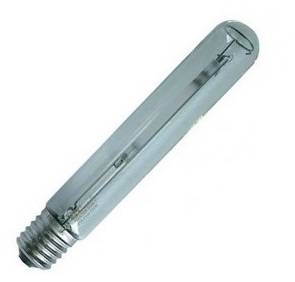Philips 600W Son T PIA Plus Lamp