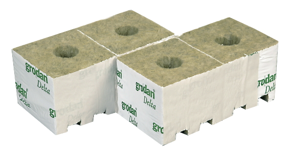 Grodan Rockwool Cubes