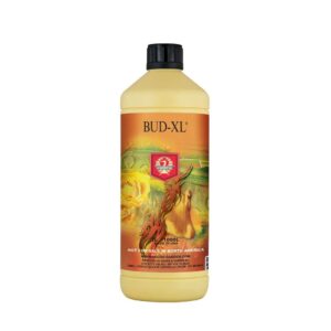 House and Garden Bud XL