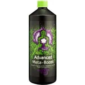 Buddhas Tree Advanced Meta Boost
