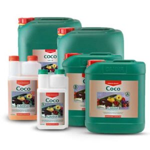 Canna Coco