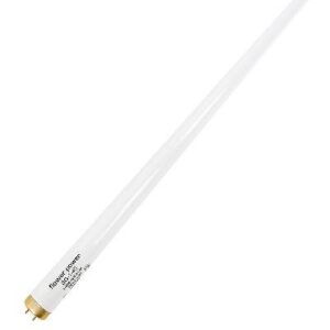 Flower Power UV Lighting by Solacure